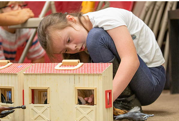 3 EQUI-KIDS participant involves