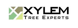 sponsors image