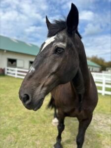 processed-A002A4FC-412A-4955-AB80-D3939CBD580A